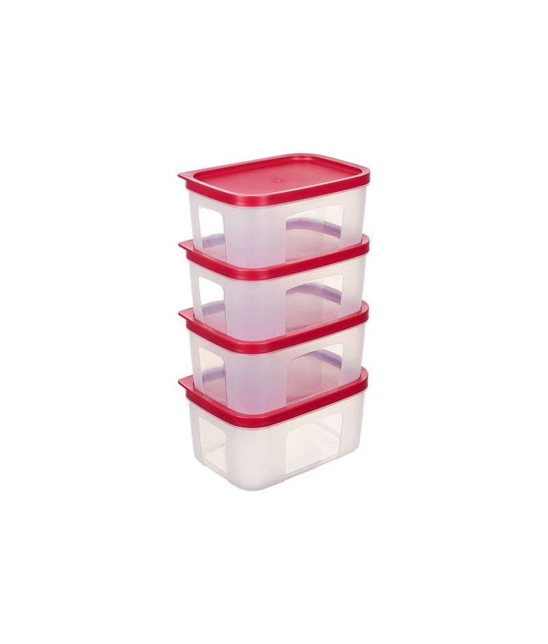 Set 4 caserole plastic pentru mâncare, dimensiuni individuale