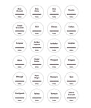 Set 4x24 etichete sticluțe condimente, albe, marker inclus