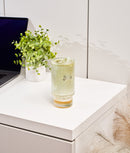 Set 2 pahare Ice Latte Essential, sticlă, 450 ml