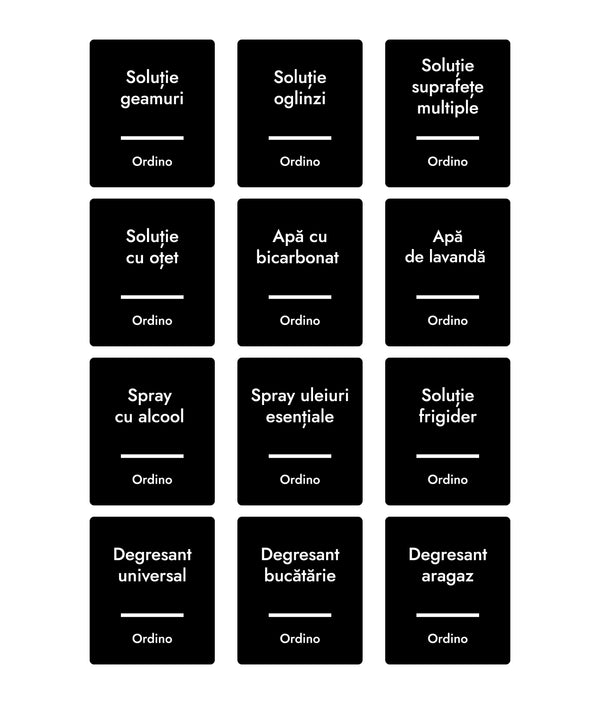 Set 24 etichete recipiente curățenie cu pulverizator, negre, marker inclus