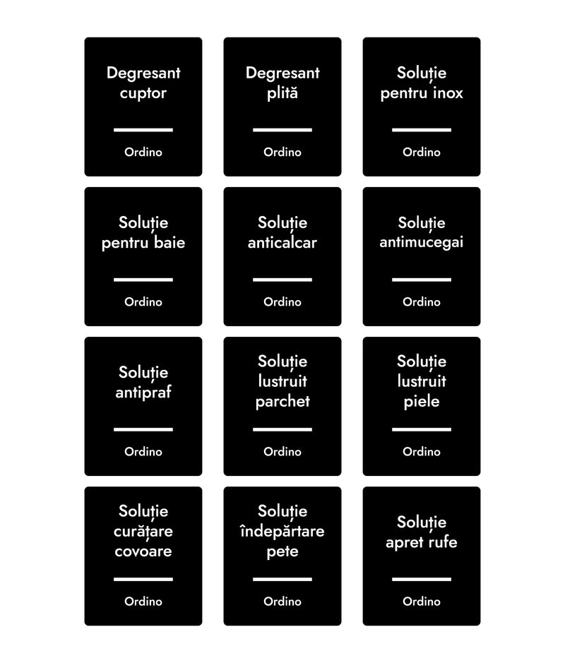 Set 24 etichete recipiente curățenie cu pulverizator, negre, marker inclus